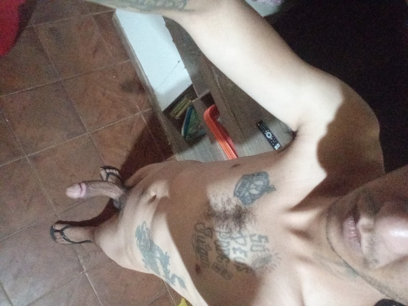 17623657380235544455922317053213