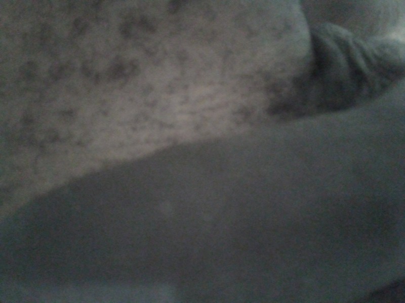 16853886061275250677910342062974 16853886061275250677910342062974