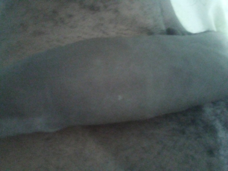 16853886720951352317034691849697 16853886720951352317034691849697