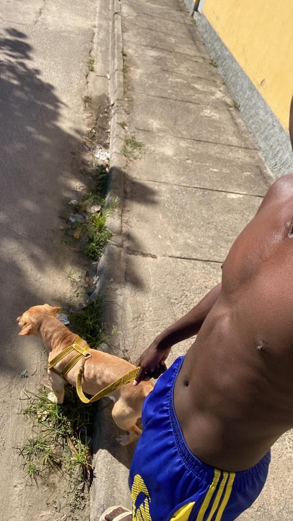 WhatsApp-Image-2023-08-07-at-161015 WhatsApp-Image-2023-08-07-at-161015