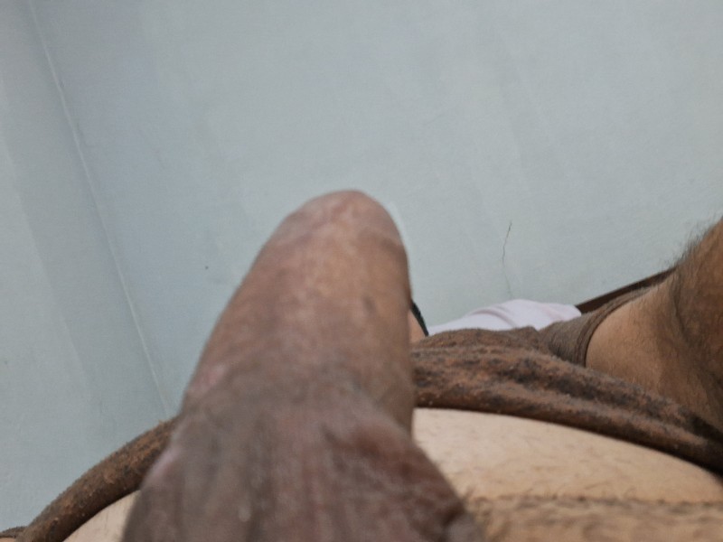 16942087316435476579073269065481