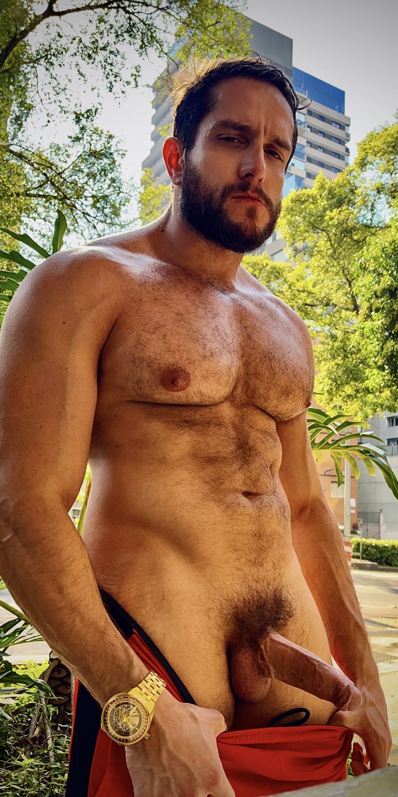 86621c65-56d7-4b8a-8736-3ca77e6c4b0b 86621c65-56d7-4b8a-8736-3ca77e6c4b0b