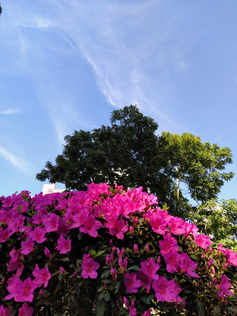 img20200710120926 img20200710120926