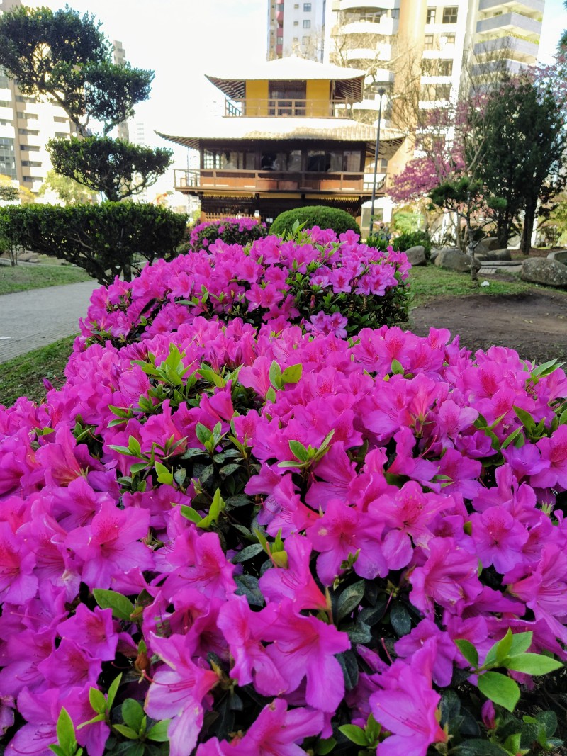 img20200710121035 img20200710121035