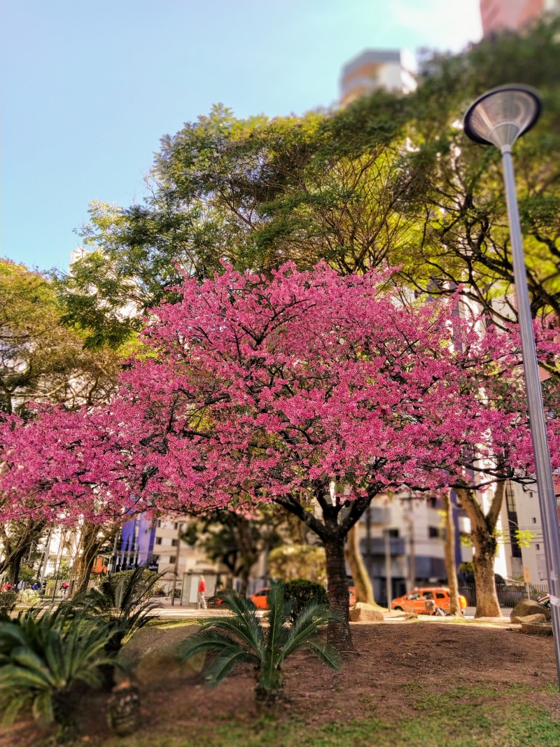 img20200710121149 img20200710121149