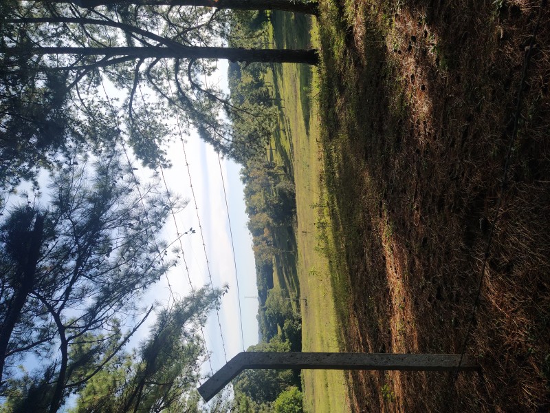 img20220425161204 img20220425161204