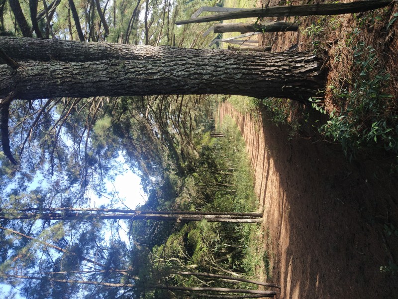 img20220425161207 img20220425161207