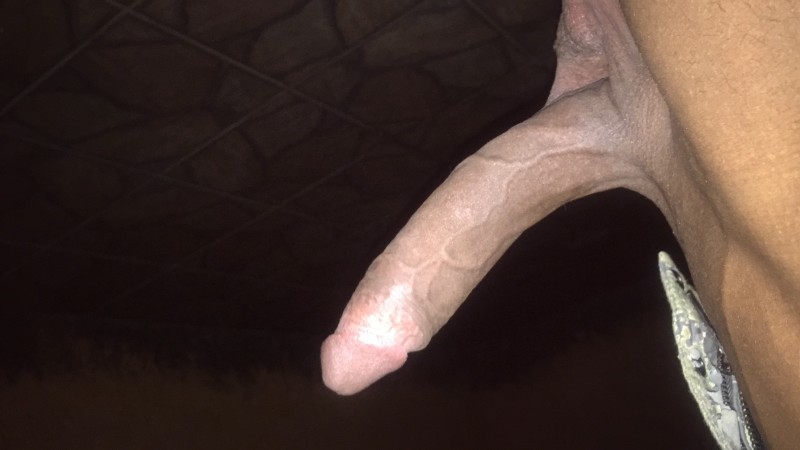 e230ce5e-8d31-4ea2-9c4b-5190dc7e6e93 e230ce5e-8d31-4ea2-9c4b-5190dc7e6e93