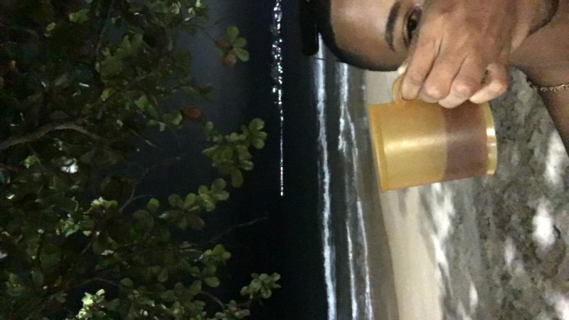 7d2a51ee-30c7-463c-95b0-807c986b46cf