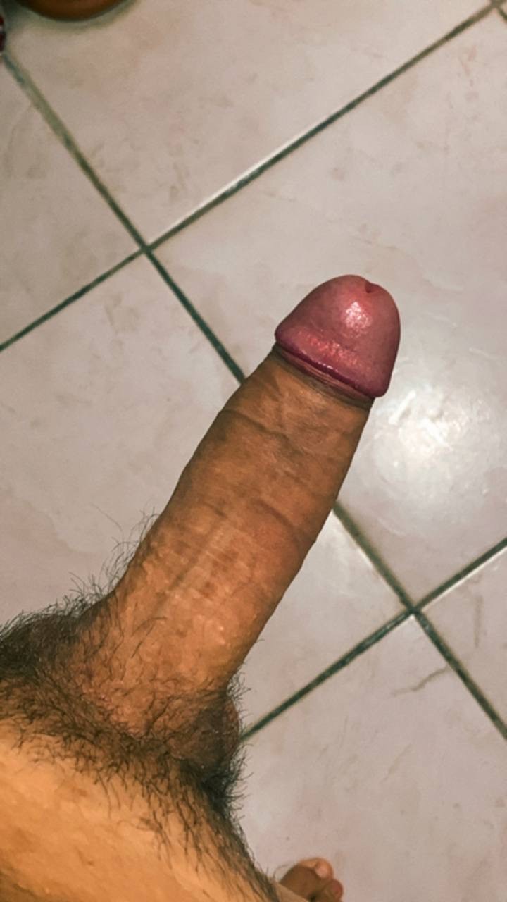 c8b2da01-62a0-4f56-a1b8-2d3834b32c69 c8b2da01-62a0-4f56-a1b8-2d3834b32c69