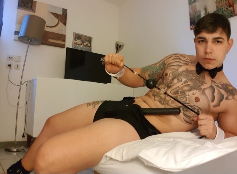 screenshot20221118-144337whatsapp screenshot20221118-144337whatsapp