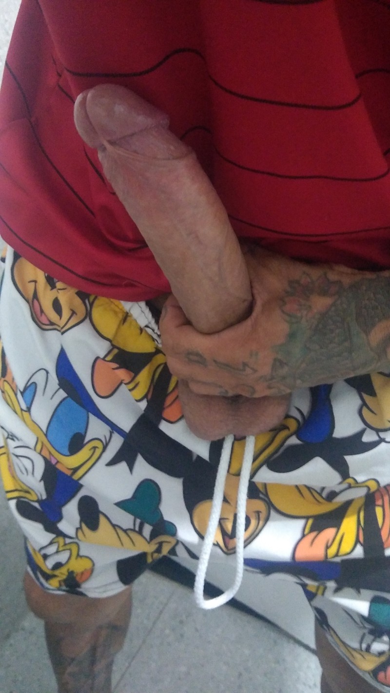 img-20230206-wa0207 img-20230206-wa0207