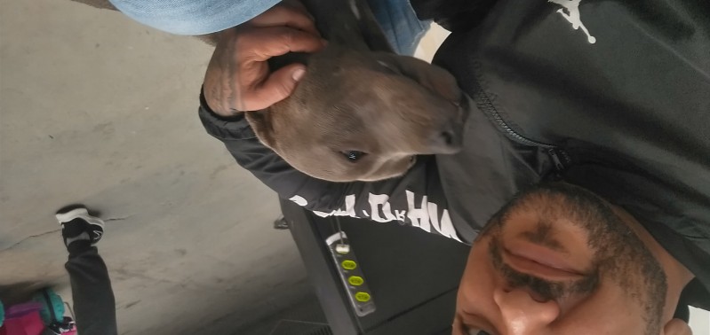 img20221102192431349hdr