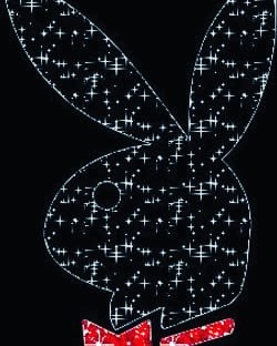 IMG20230330000926186 IMG20230330000926186