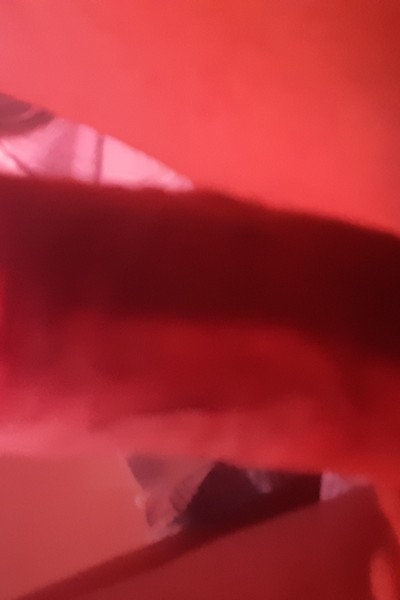 16650787249227175634373784267259