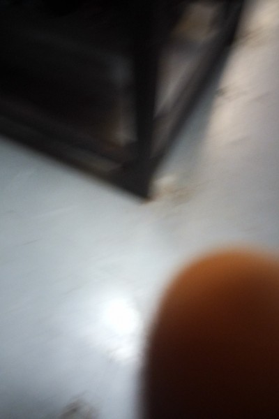 16794892291008671426962418037157