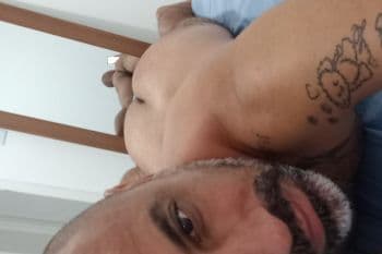 Urso passivo a seu dispor