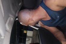 Preço acessível macho alf