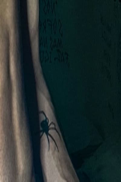 Garoto novo na cidade