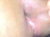 Gato Passivo Faço tudo