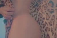 GP versátil lisinho