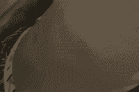 Degustou vai gostar e vol